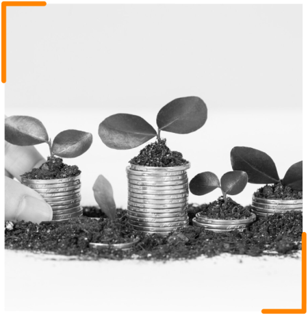 A grayscale image of coins stacked in soil with small plants sprouting from them, symbolizing economic growth and empowerment.
