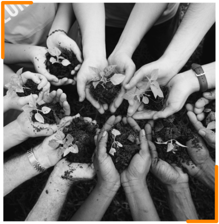 A black and white image of multiple hands coming together, holding soil with small plants, symbolizing community and nurturing.